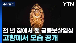 천 년 잠에서 깬 금동보살입상...고향에서 모습 공개 / YTN