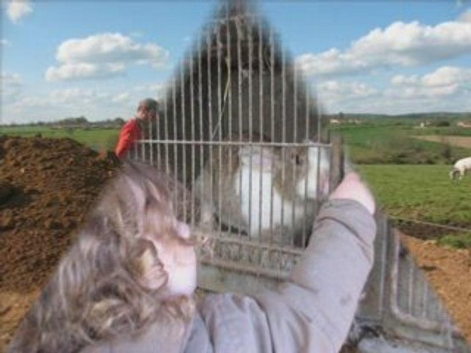 Johan a la ferme