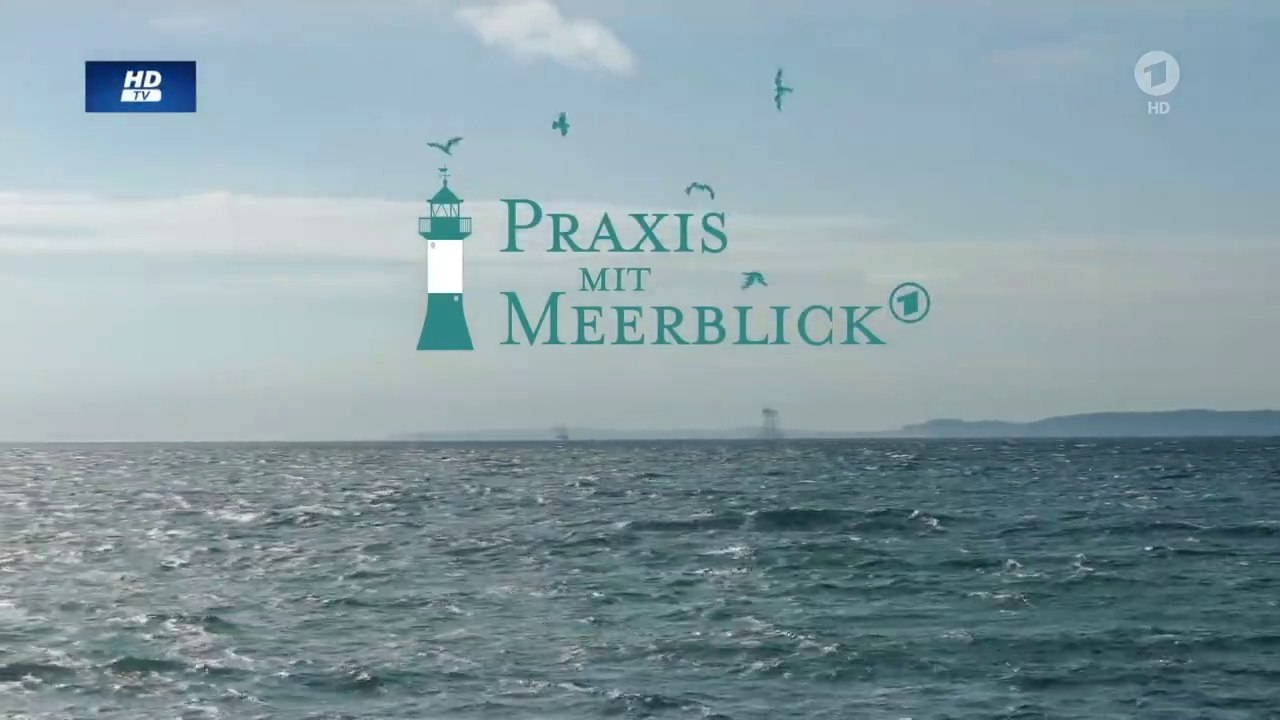 Praxis mit Meerblick -02- Brüder und Söhne
