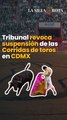 Tribunal Colegiado revoca suspensión provisional de las Corridas de toros en CDMX