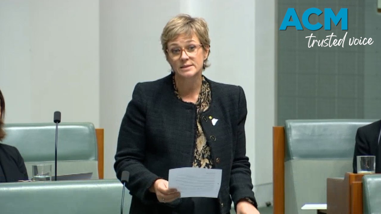 Zali Steggall calls for swift sentencing overhaul for gendered violence