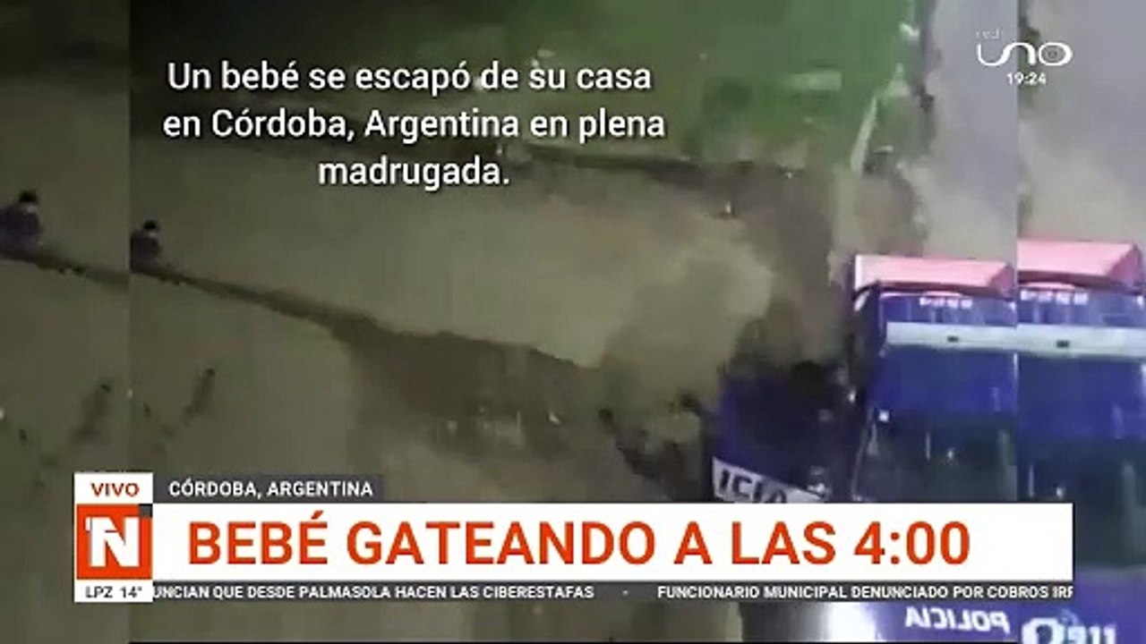 Bebe gateando