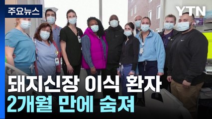 돼지신장 이식 환자, 2개월 만에 숨져..."그래도 희망" / YTN