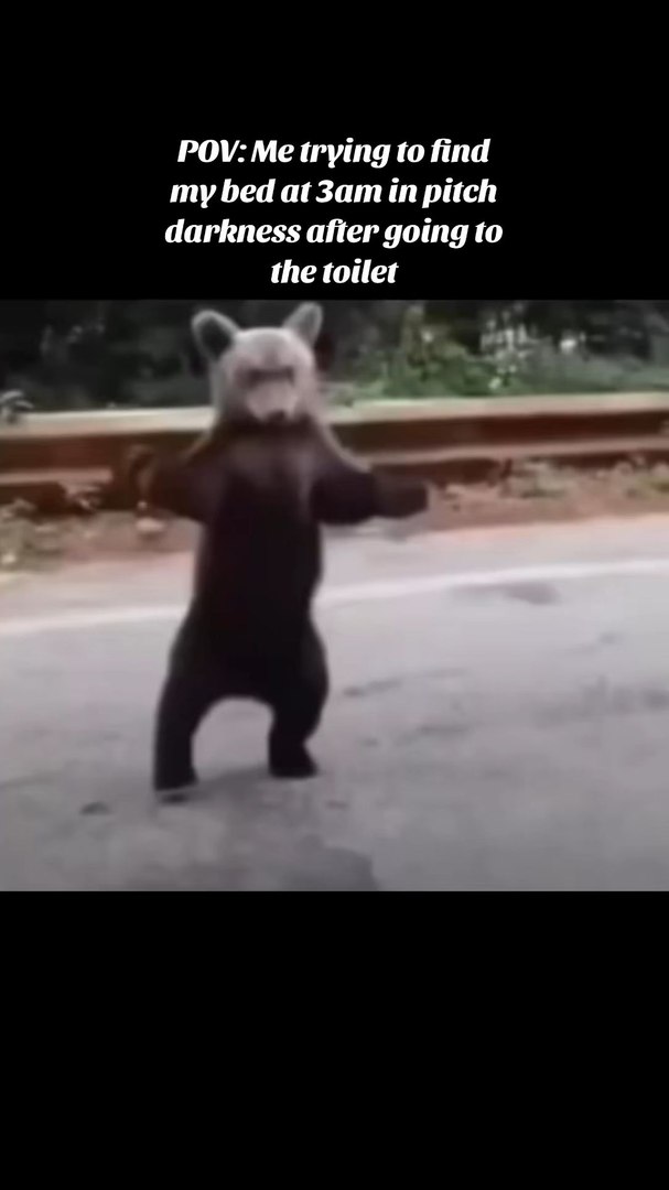 funny memes