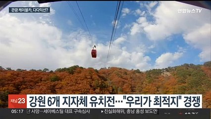 '이미 5개 운영' 강원도에 케이블카 '더…더…' 득일까? 독일까?