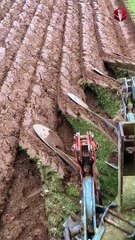 Satisfying Ploughing Machine