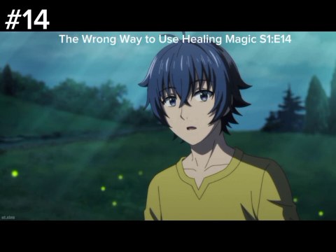 The Wrong Way to Use Healing Magic#14