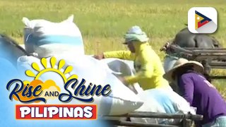 Hulyo, idineklara bilang ‘Philippine Agriculturists' month;