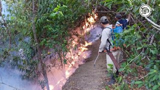 Incendio amenaza a las comunidades rurales de Las Choapas