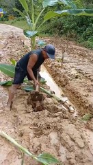 Community's Frustration Grows Over Unrepaired Roads 🚧