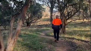 The breathtaking new Ginninderry walking track