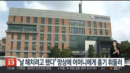 "날 해치려고 했다" 망상에 어머니에게 흉기 휘둘러