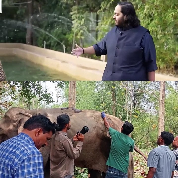 जीव प्रेम-सेवा सबसे बड़ा धर्म