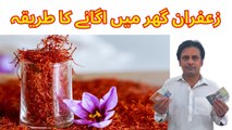 Zafran ki kasht kaise karain | Zafran ki kasht in Pakistan | Zafran ke fayde | Arshads Kitchen