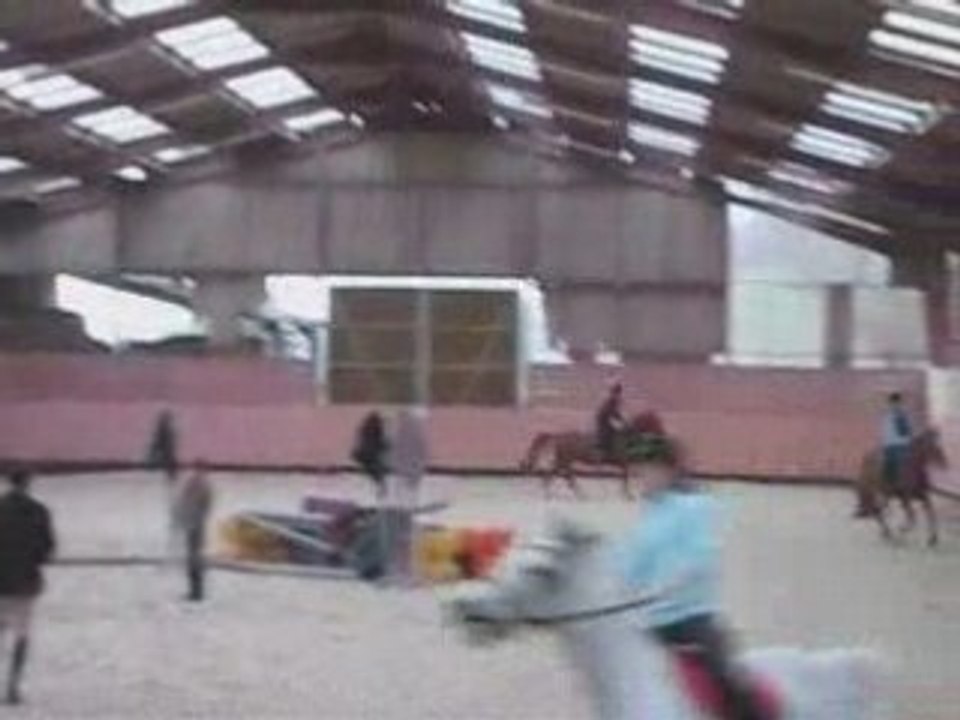 Dressage