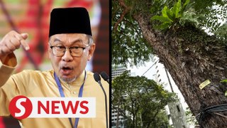 Hundred trees to be planted for every one cut in KL, says PM