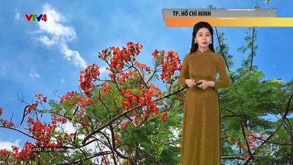Phim truyện Thương lắm đò ơi - Tập 27