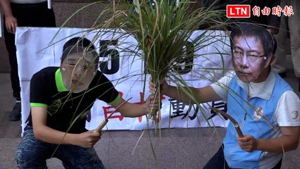 反制519遊行 台灣國上演「割小草」行動劇諷柯文哲、黃國昌