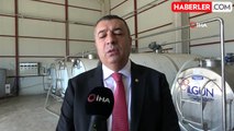 Süt Toplama Merkezleri Malatya'da Yaygınlaşıyor