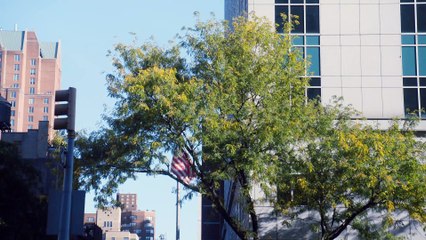 Lenox Hill S01e08 Chiudere Il Cerchio