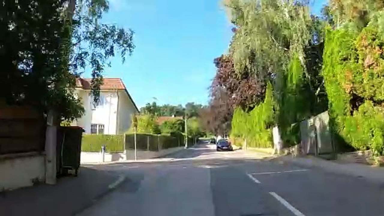 Steiler Straßenabschnitt: MTB Lainzer Tiergarten-Strecke (7)