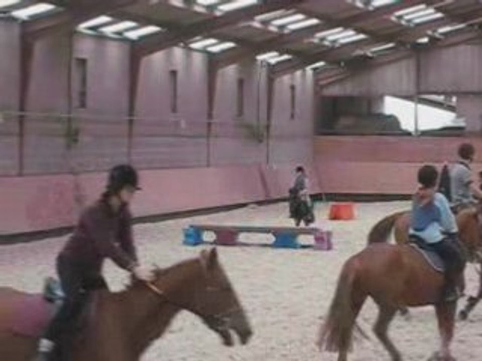 Saut
