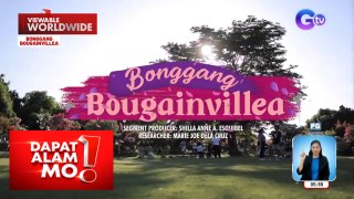Iba’t ibang kulay at variety ng bougainvillea, silipin | Dapat Alam Mo!
