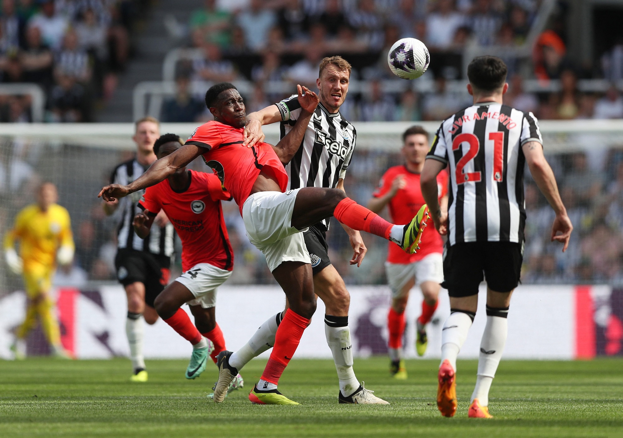 14 MILNER WELBECK