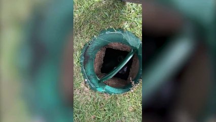Hawaii Woman Suffers Nerve Damage After 6-Foot Sewer Hole Fall 🚧