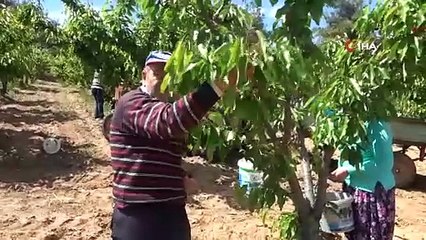 Üretici isyan etti: Tarlada 39, tezgahta 119 TL...