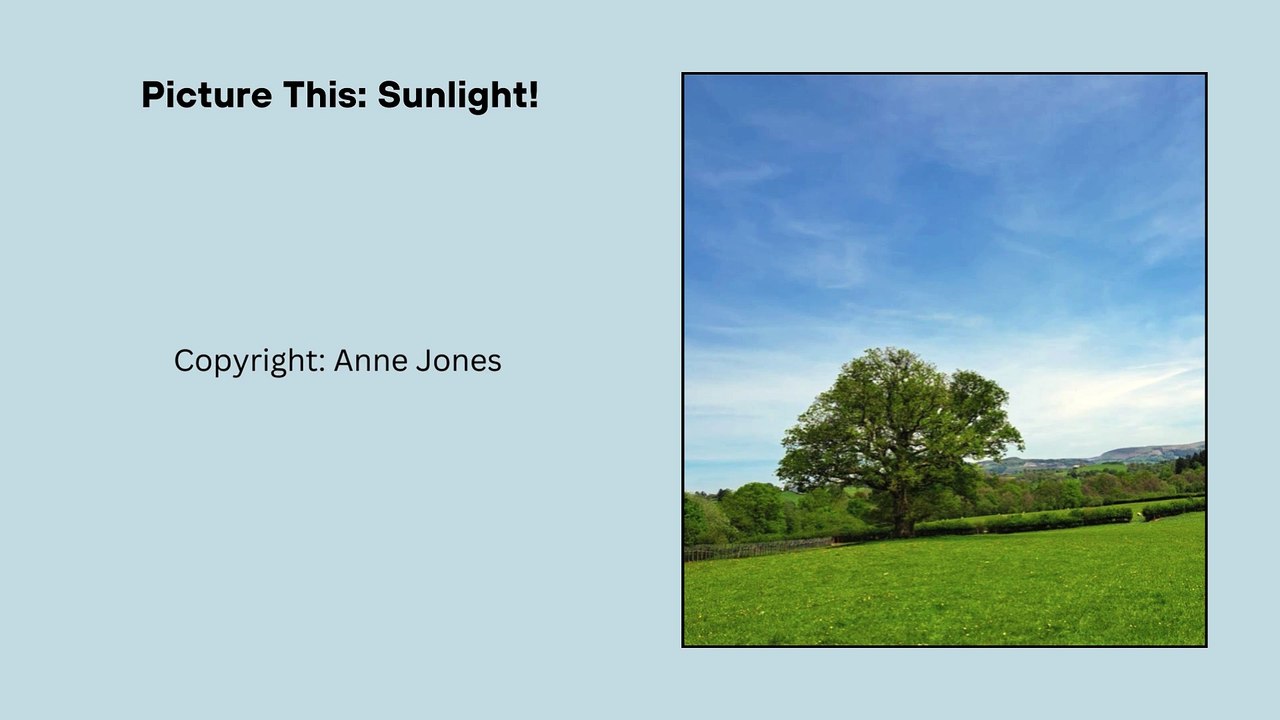 Picture This: Sunlight!