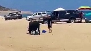 touro, praia, México