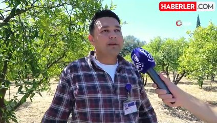 Bodrum'da tarımsal üretimde su tasarrufu