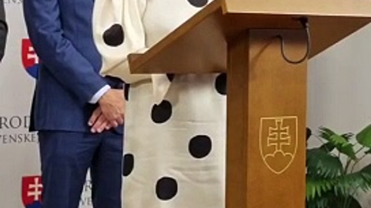 ZÁZNAM: TK hnutia Progresívne Slovensko
