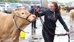 DAERA Minister Andrew Muir arrives at 155th Balmoral Show