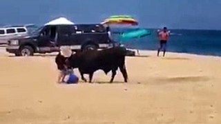 touro, praia, México