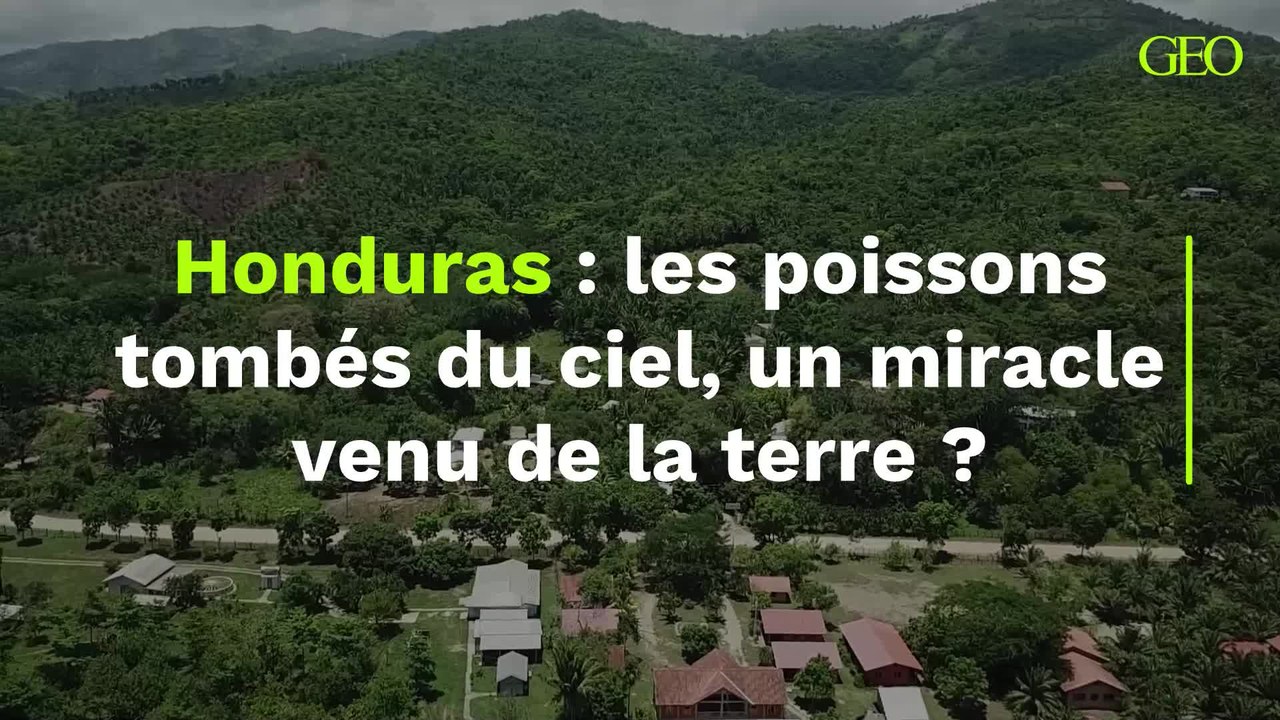 Les poissons tombés du ciel à Yoro, au Honduras, un "miracle" venu des entrailles de la terre ?