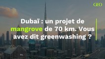À Dubaï, un projet de mangrove de 70 kilomètres de long pour lutter contre le changement climatique. Vous avez dit greenwashing ?