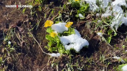 Karların erimesiyle ortaya çıktı: Rengarenk Palandöken