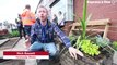 An overgrown garden at a medical practice in Wolverhampton has been transformed.