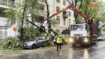 Maltempo a Milano, alberi caduti per la pioggia in via Sanzio
