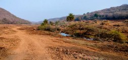 रामगढ़ विषधारी टाइगर रिजर्व के कालदां वन क्षेत्र में होगा ग्रासलैंड विकसित