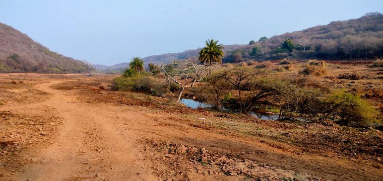 रामगढ़ विषधारी टाइगर रिजर्व के कालदां वन क्षेत्र में होगा ग्रासलैंड विकसित