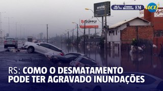 Como desmatamento no Rio Grande do Sul pode ter agravado inundações