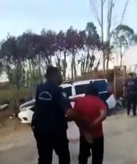 Homem é preso em flagrante ao abusar de cadela