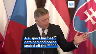 Slovak Prime Minister Fico shot and taken to hospital  after government meeting