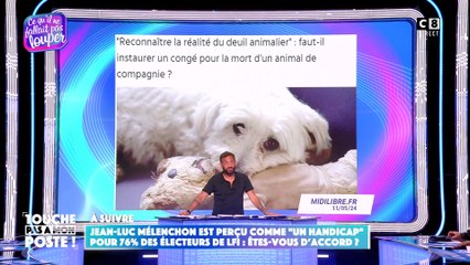 De plus en plus de sociétés instaurent des jours de congés pour la mort d’un animal de compagnie