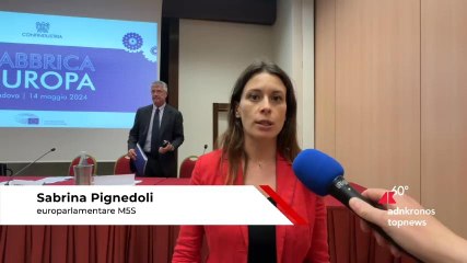 Pignedoli (Europarlamentare): "Creare sistema-Italia a supporto Pmi"