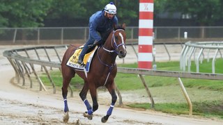 Mystik Dan's Surprising Churchill Downs Win: What's Next?