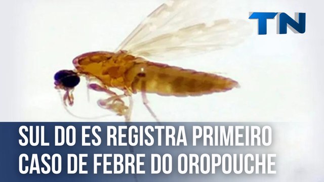 Sul do ES registra primeiro caso de Febre do Oropouche